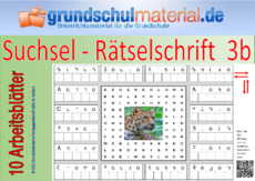 Suchsel-Rätselschrift_3b.pdf